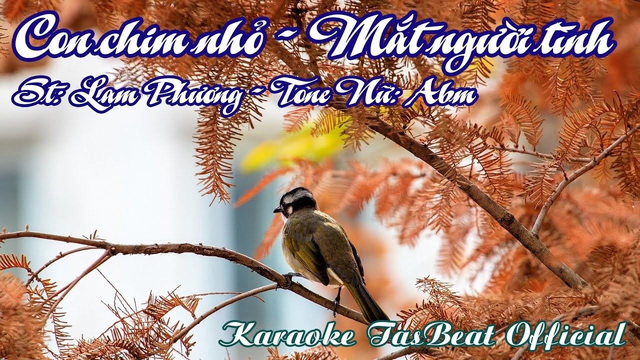 Con chim nhỏ mắt người tình