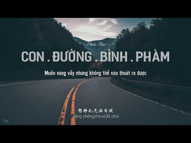 Con Đường Bình Phàm (平凡之路)