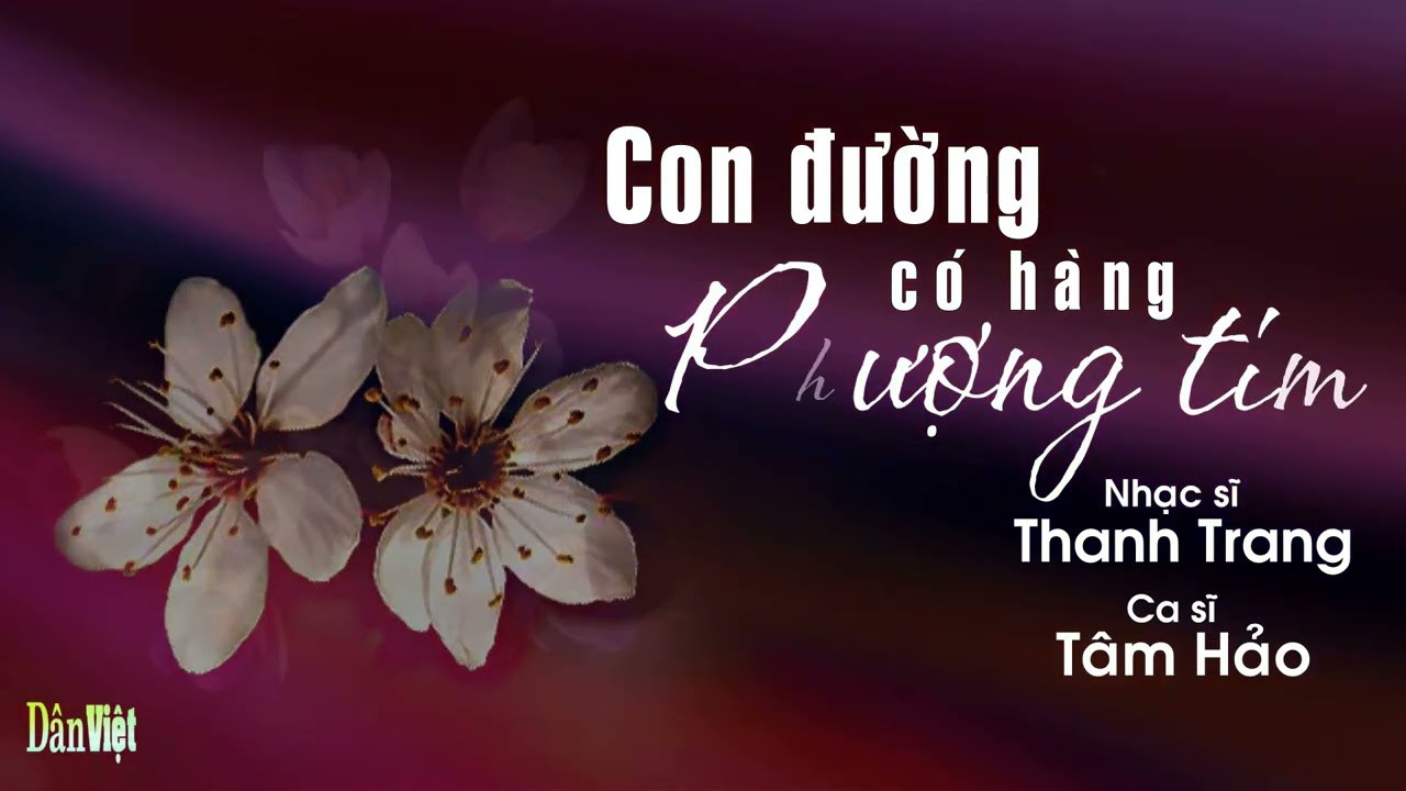 CON ĐƯỜNG CÓ HÀNG PHƯỢNG TÍM