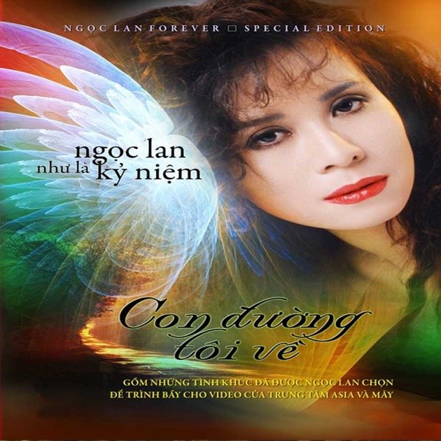Con đường tôi về