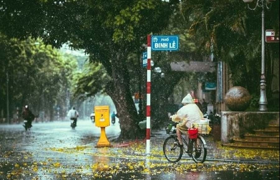 Cơn Mưa Chiều Hà Nội