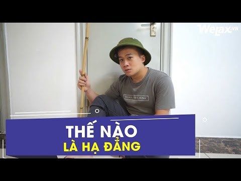Đã Bao Giờ