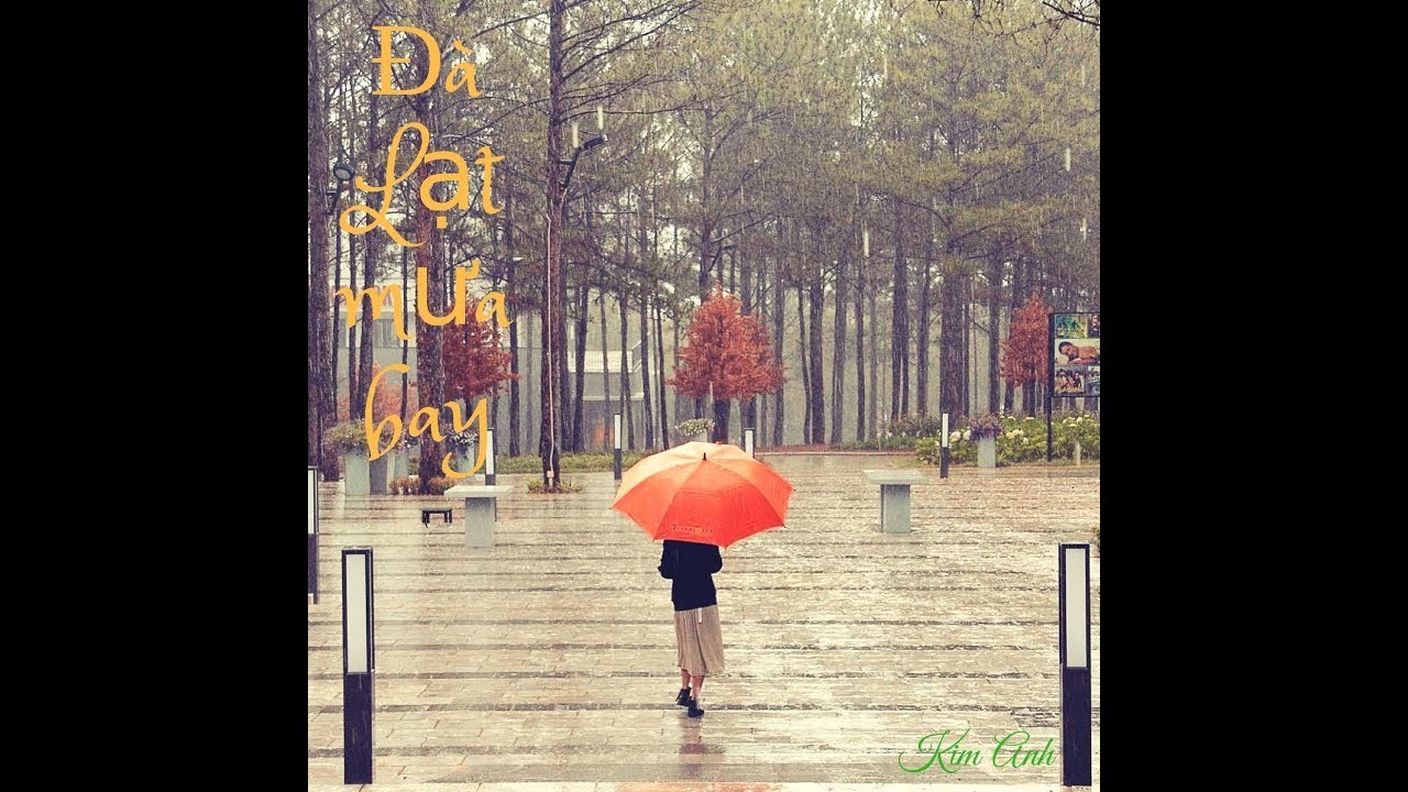 Đà Lạt mưa bay