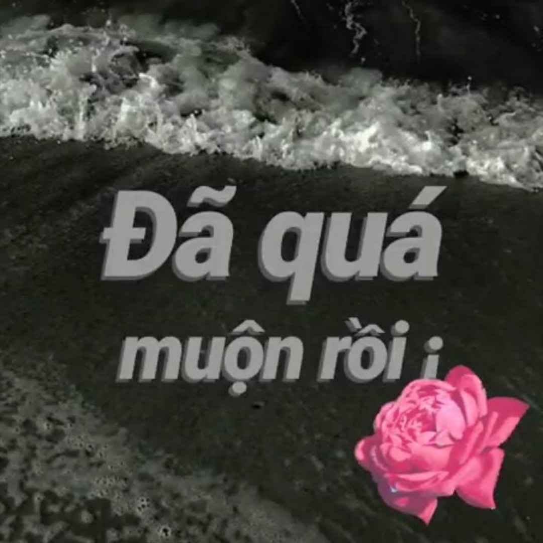Đã quá muộn rồi