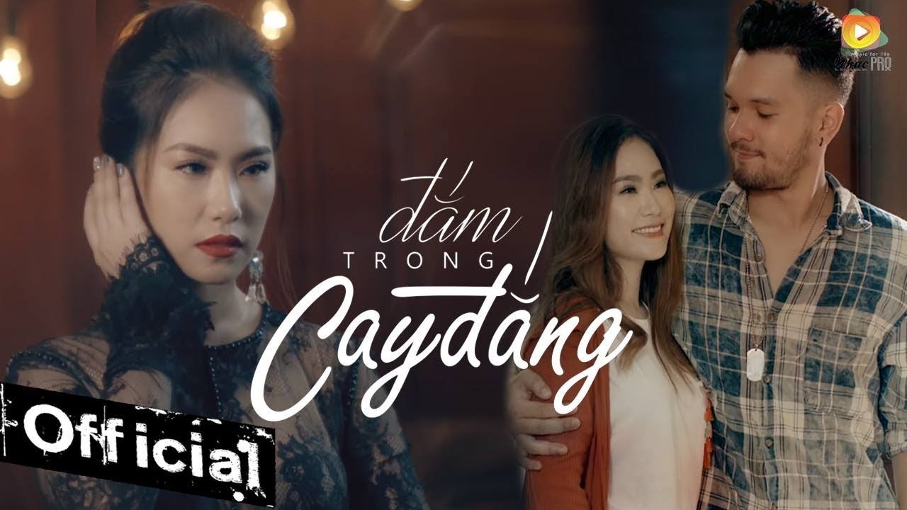 Đắm trong cay đắng