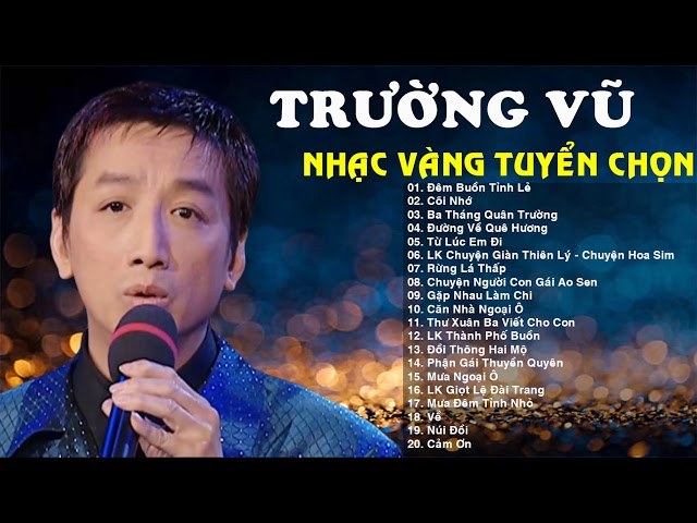 Đêm Buồn Tỉnh Lẻ