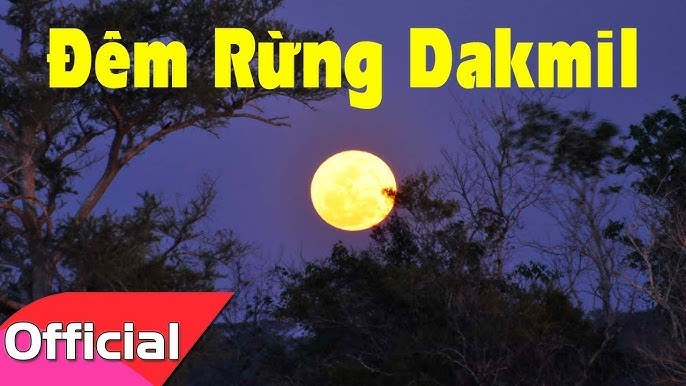 Đêm Rừng Dakmil