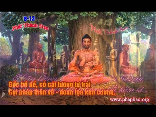 Đêm Thành Đạo