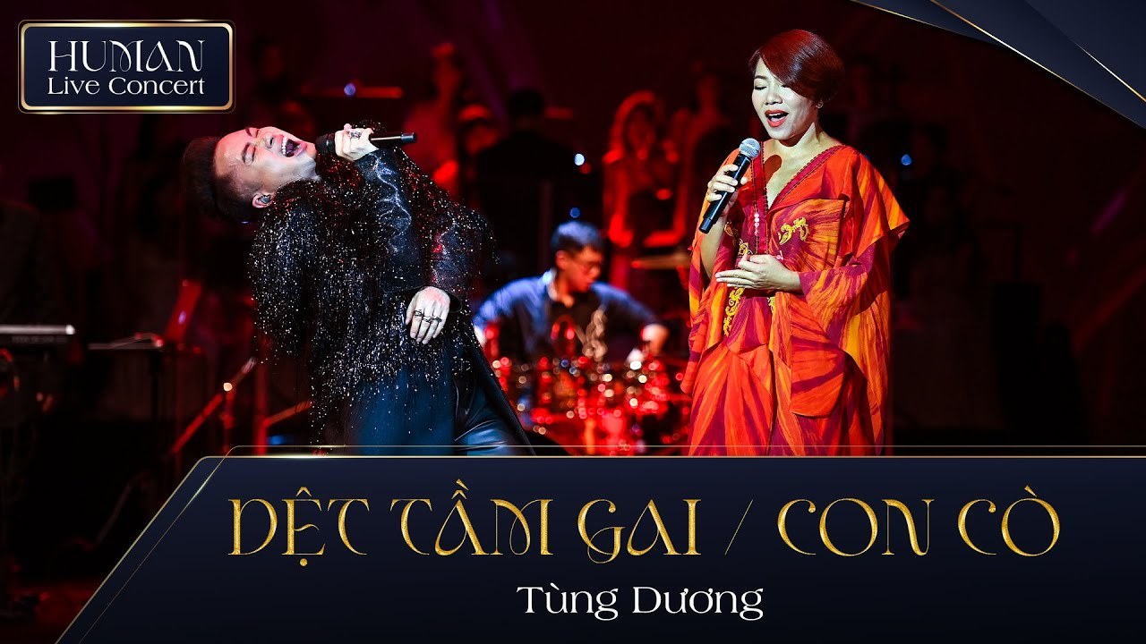 Dệt tầm gai/Con cò