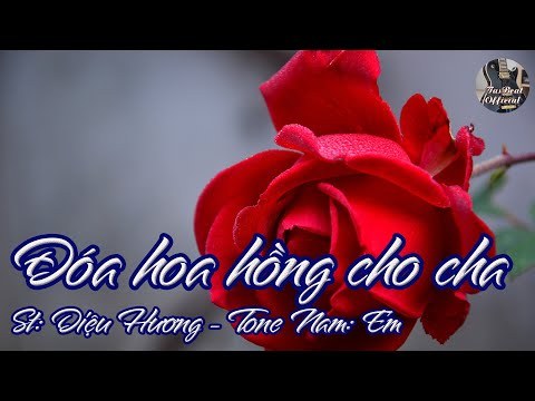 Đoá Hồng Cho Cha