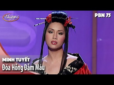 Đóa hồng đẫm máu