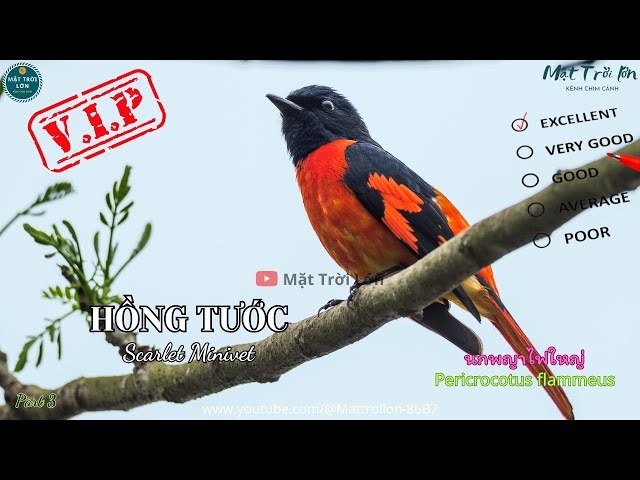 ĐOẠN ĐƯỜNG TRĂM NĂM