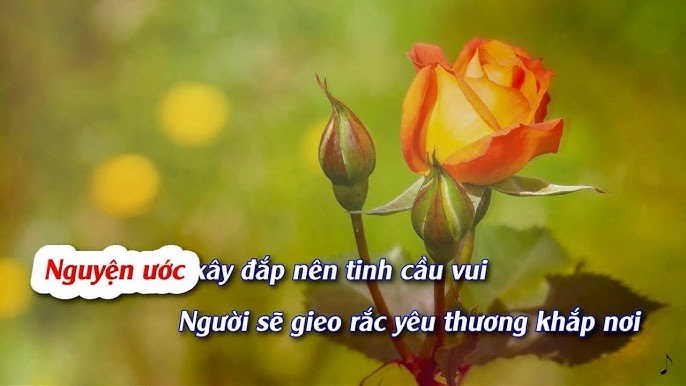 Đợi chờ giữa mùa xuân