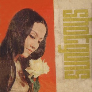 Đời có gì đâu