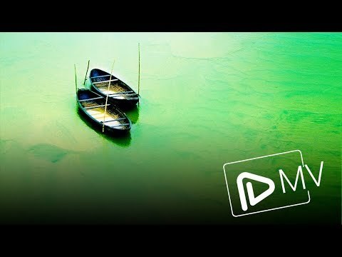 Đôi mắt đò ngang