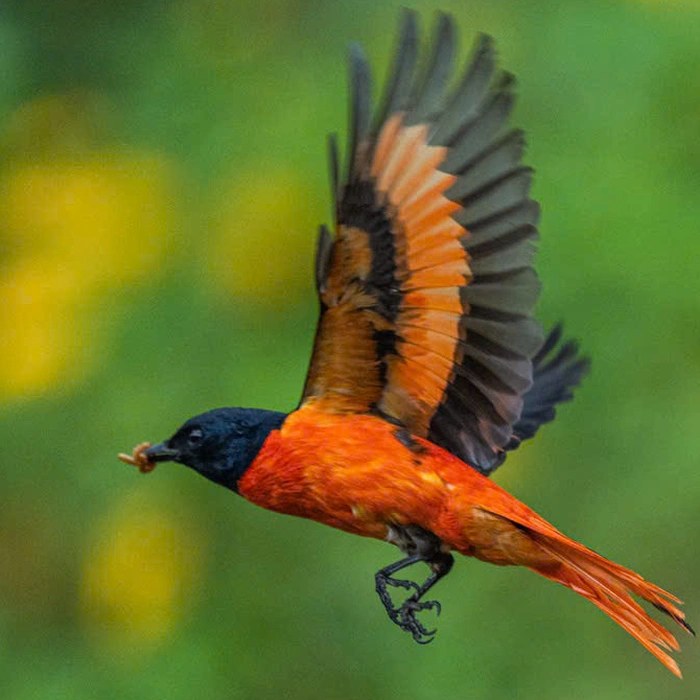 ĐÔI NGÀY KHÔNG THẤY