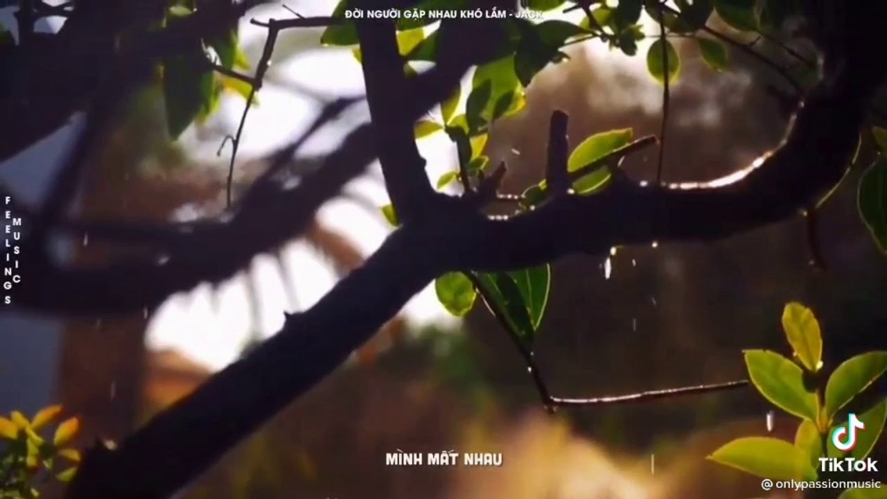 Đời người gặp nhau khó lắm