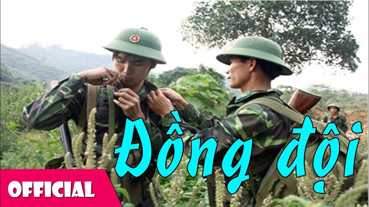 Đồng lòng Việt Nam