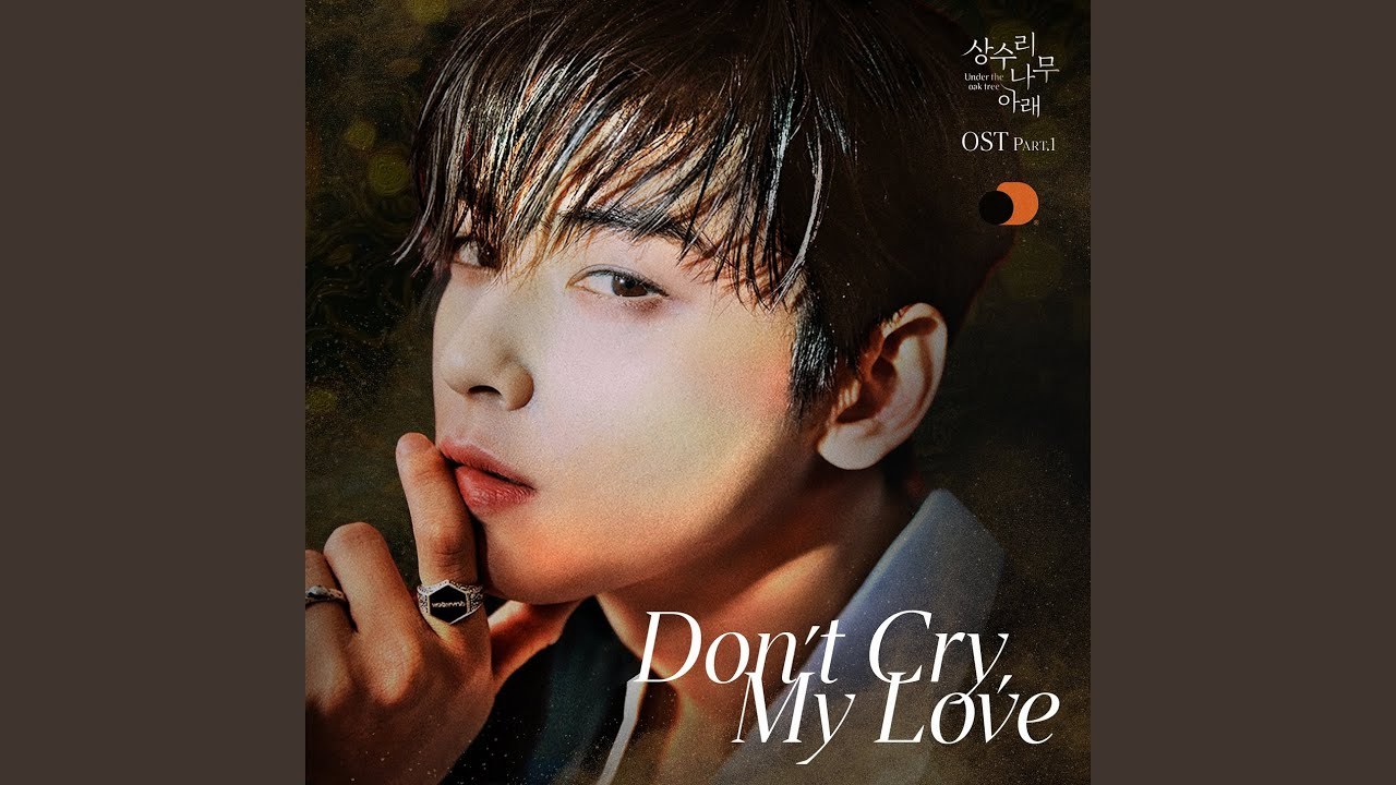 Don't Cry My Love