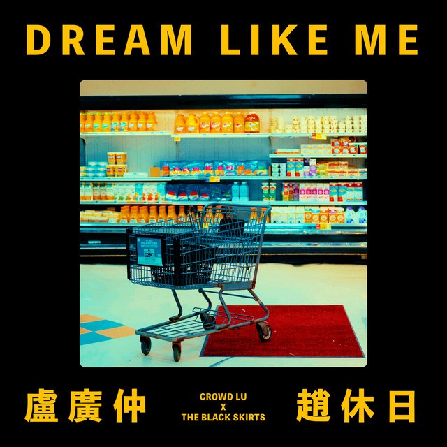 Dream Like Me