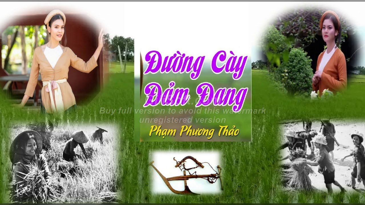 Đường Cày Đảm Đang