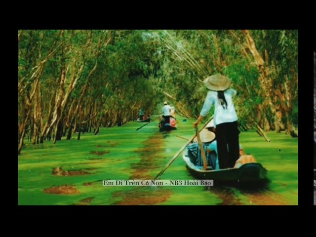 EM ĐI TRÊN CỎ NON (Lofi Ver.)