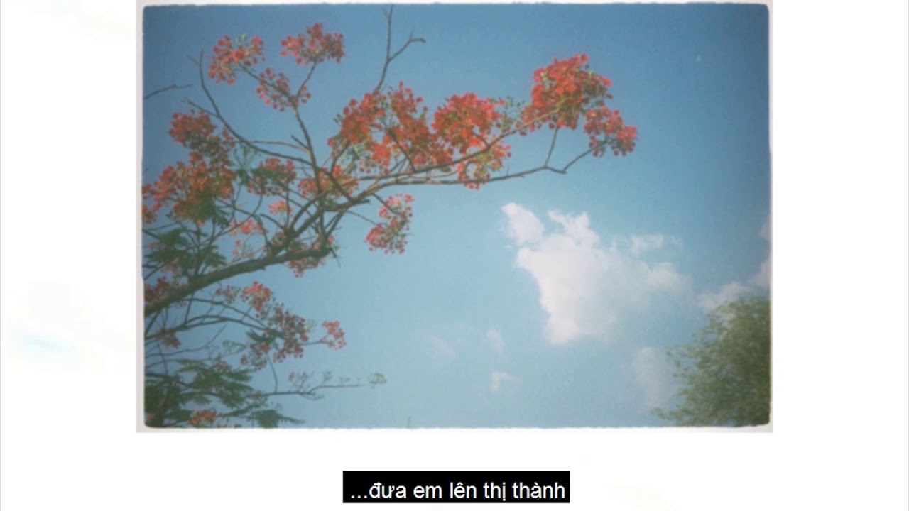 Em giấu hạ tôi đâu mất?