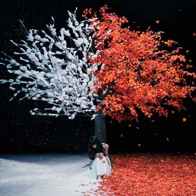 everlasting snow