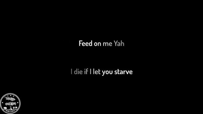 Feed