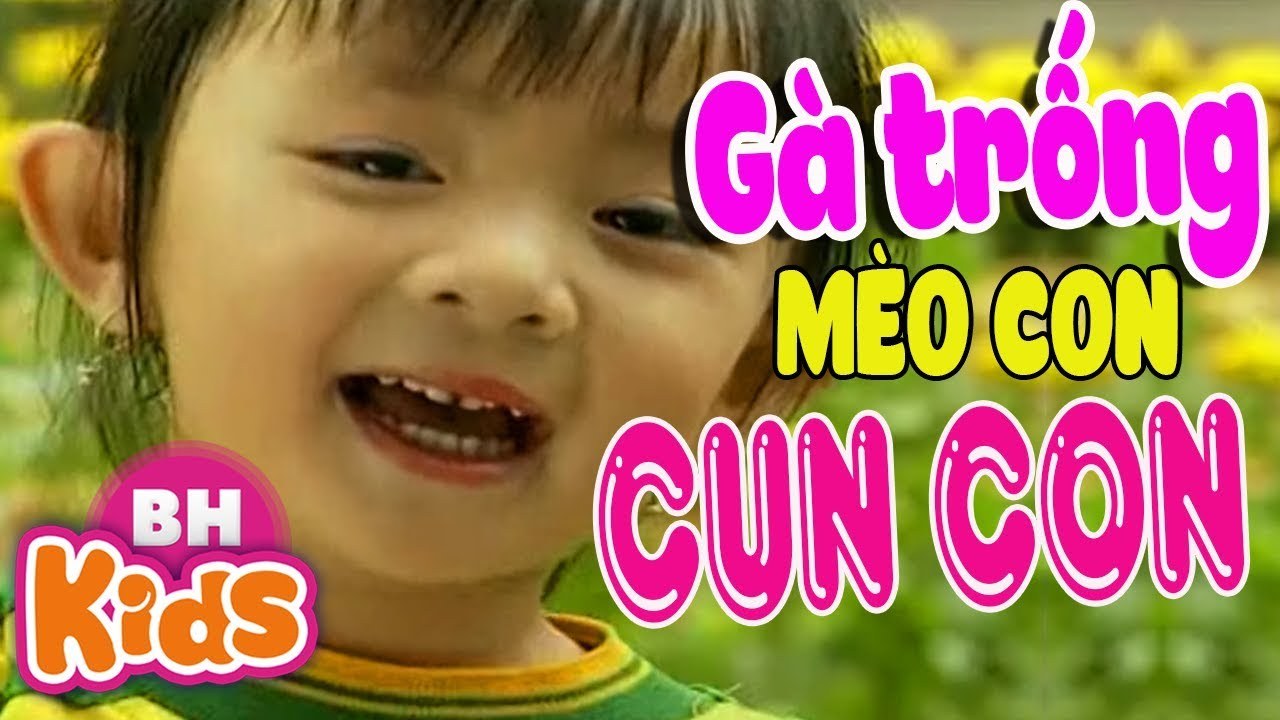 Gà trống mèo con và cún con