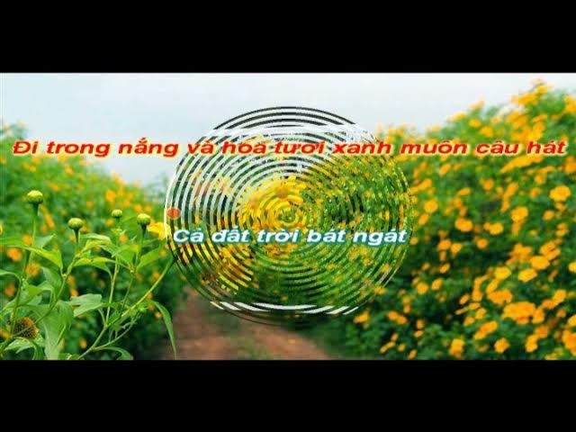 Gặp Gỡ Mùa Cúc Quỳ