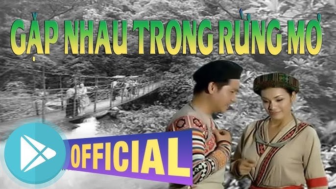 Gặp Nhau Trong Rừng Mơ 