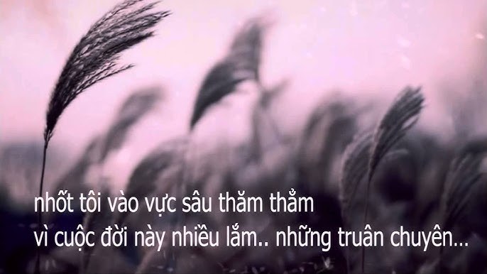 Giết Đời Nhau