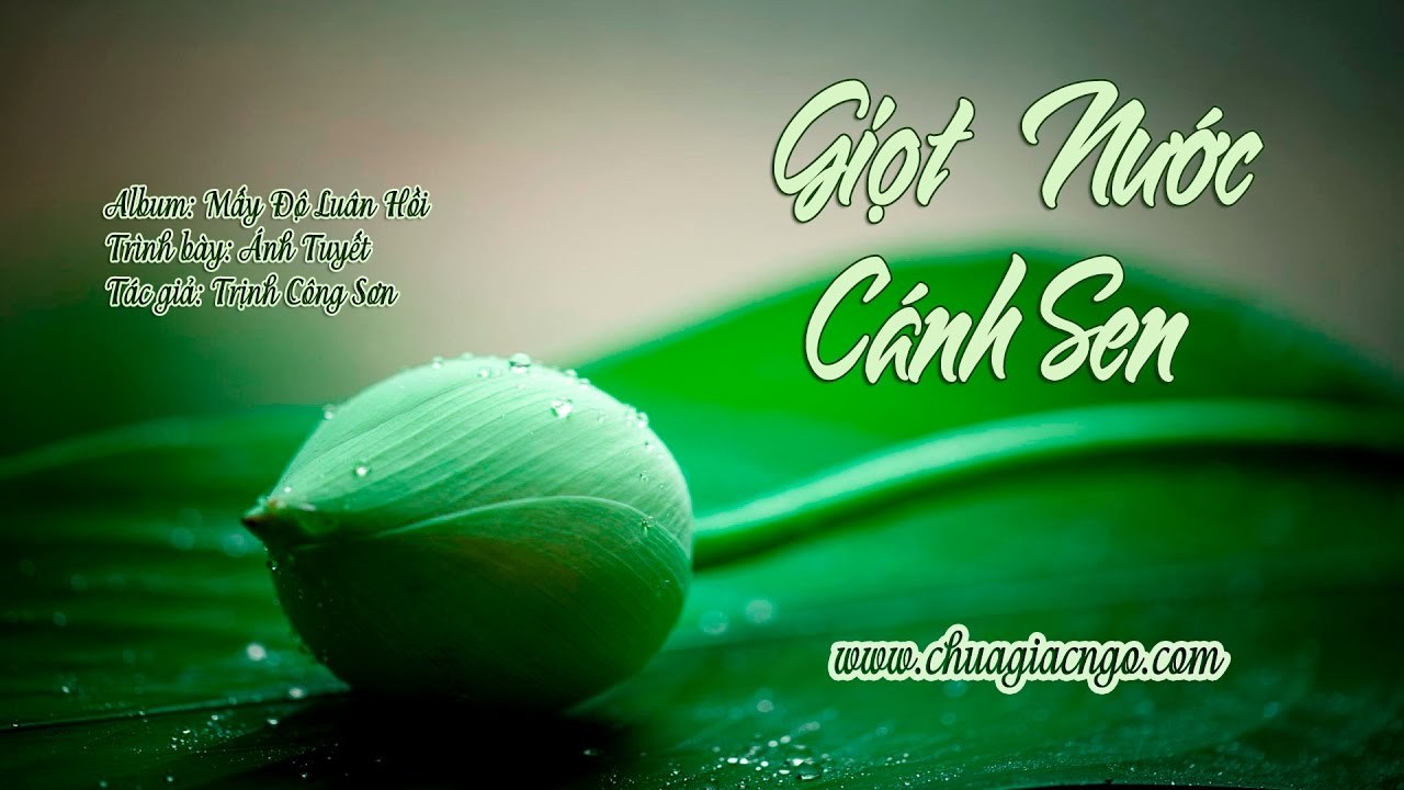 Giọt nước cánh sen