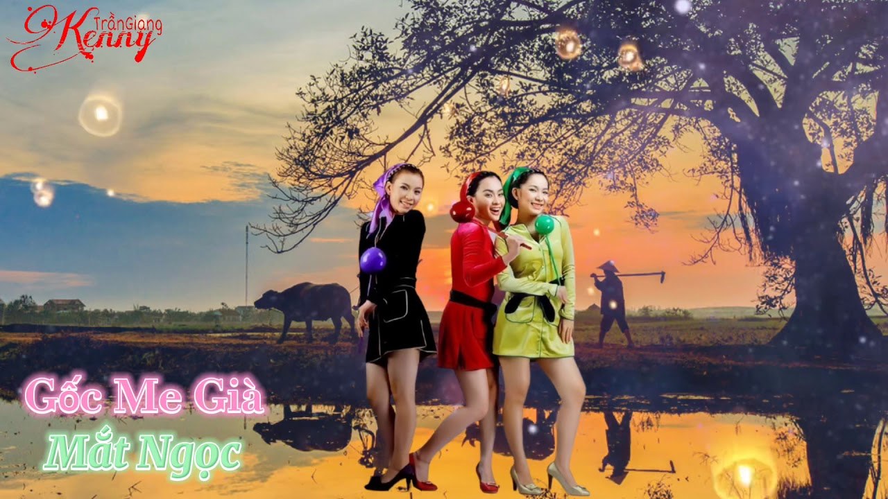 Gốc me già