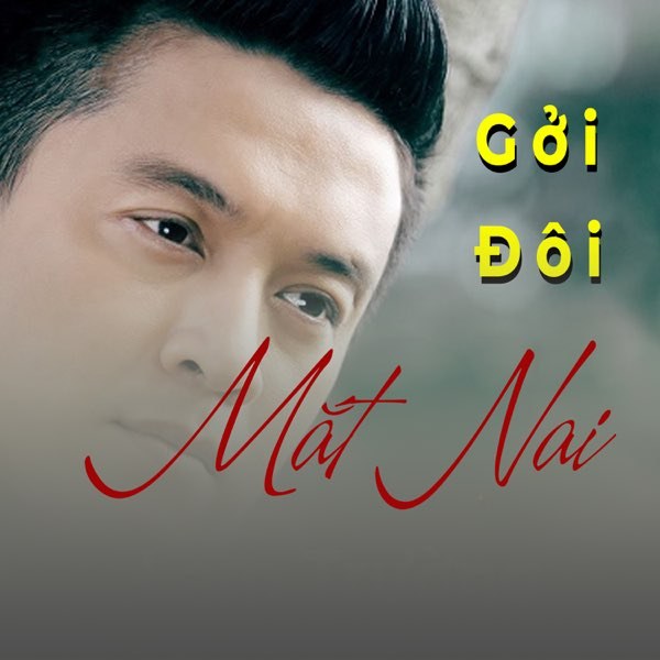 Gửi Đôi Mắt Nai