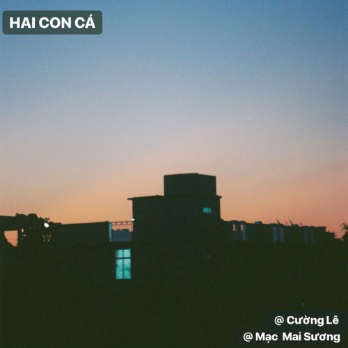 Hai Con Cá