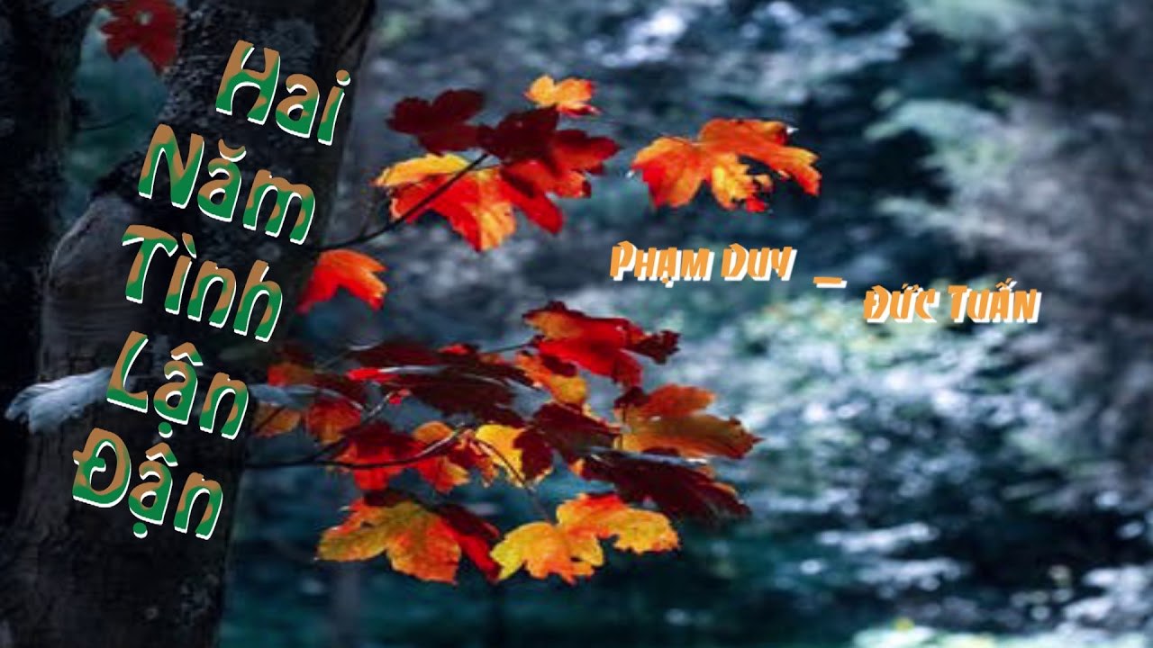 Hai Năm Tình Lận Đận