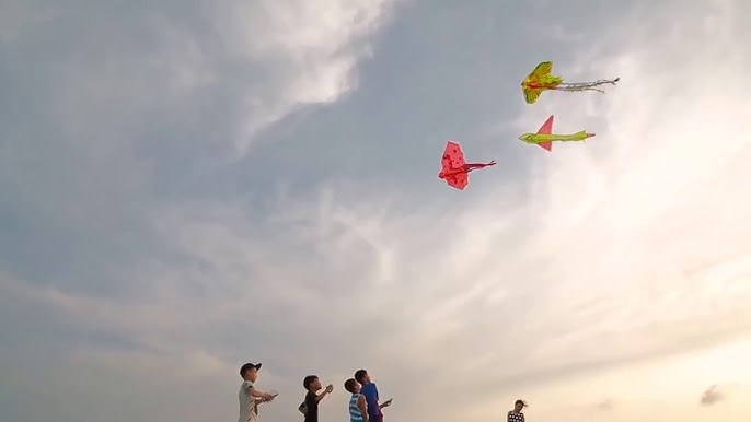 Hải Phòng trong tim tôi 