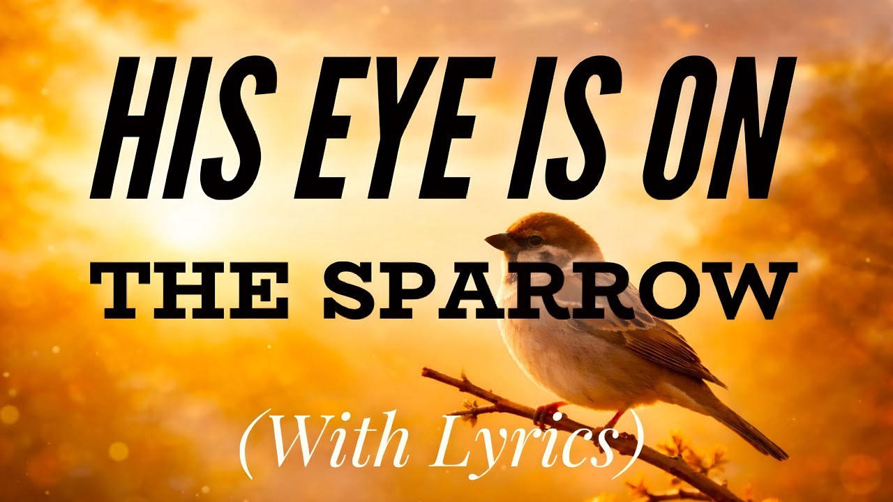 His Eyes Is On The Sprarrow