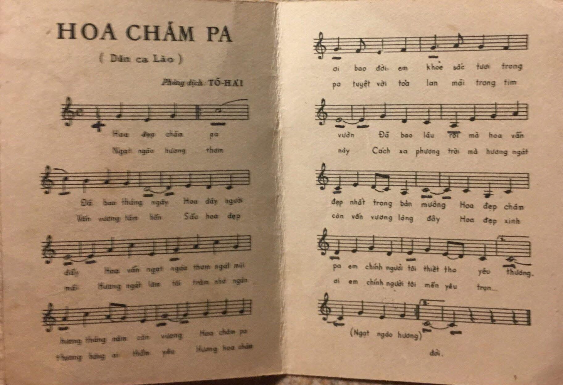 Hoa đẹp chăm - pa