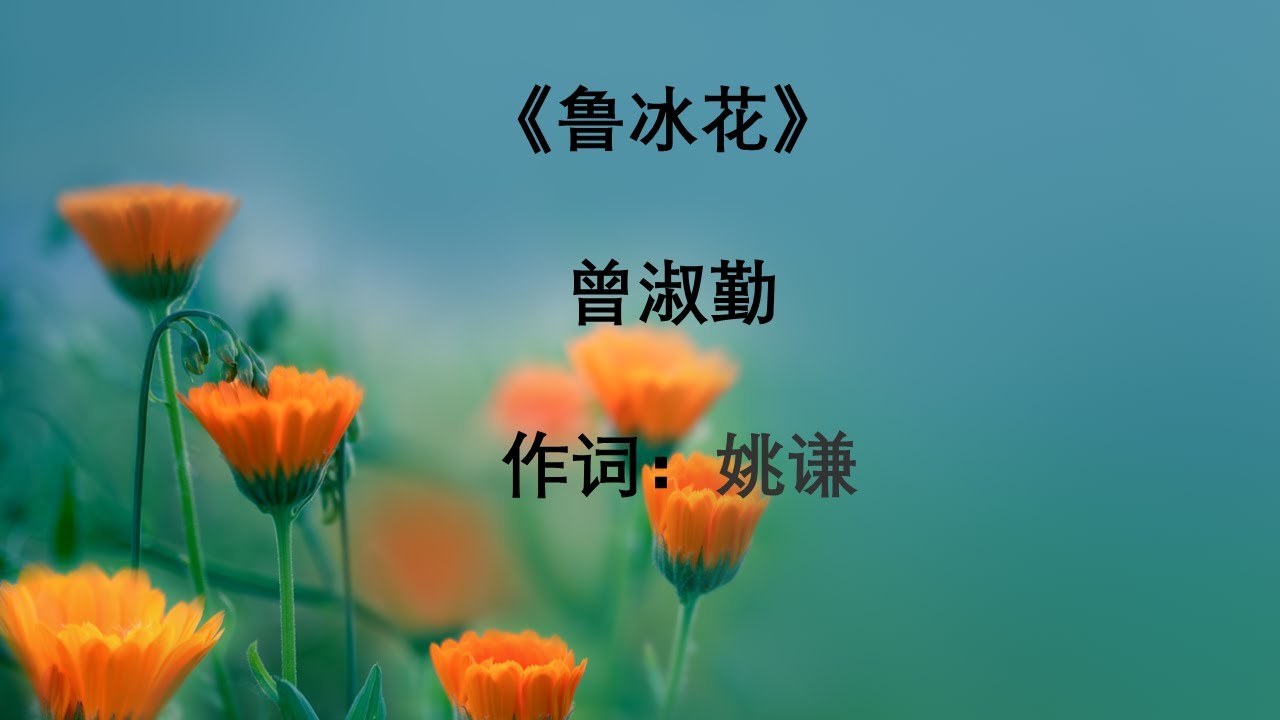 Hoa lỗ băng (魯冰花)