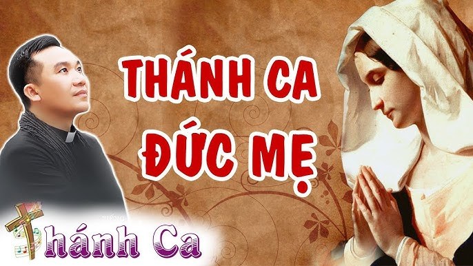 hoa mân côi