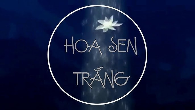 Hoa Sen Nở