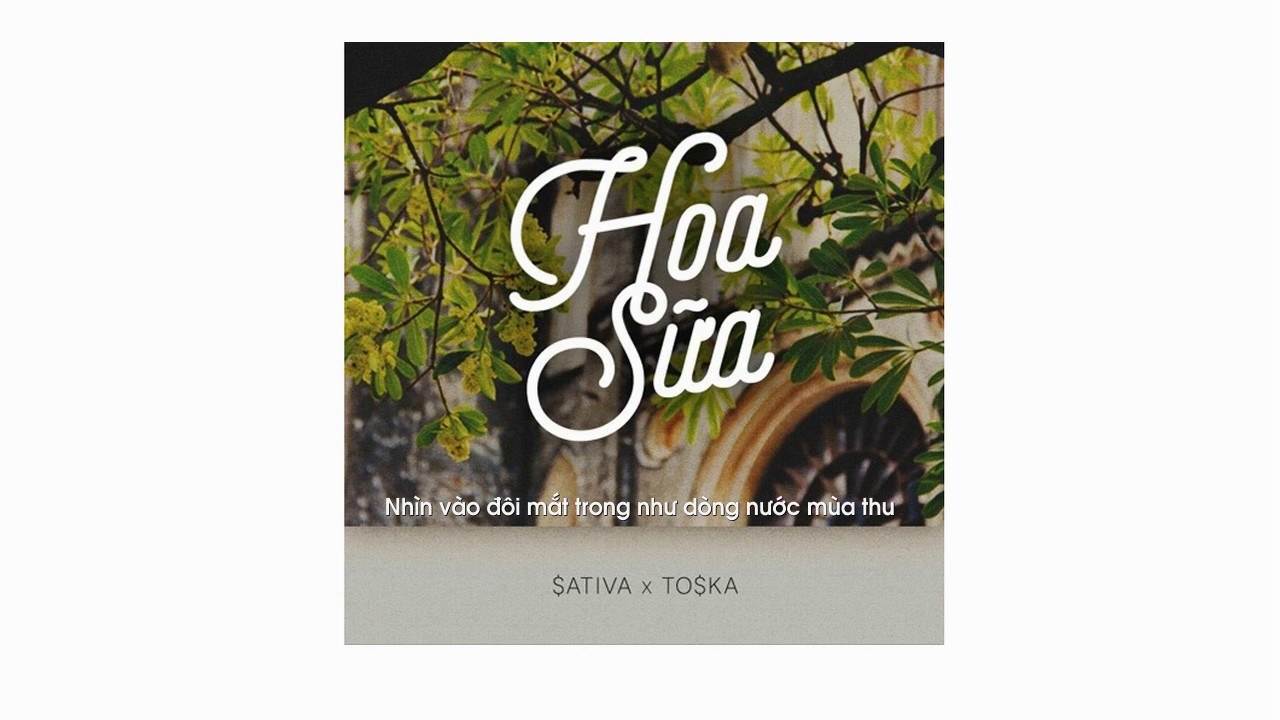 Hoa Sữa