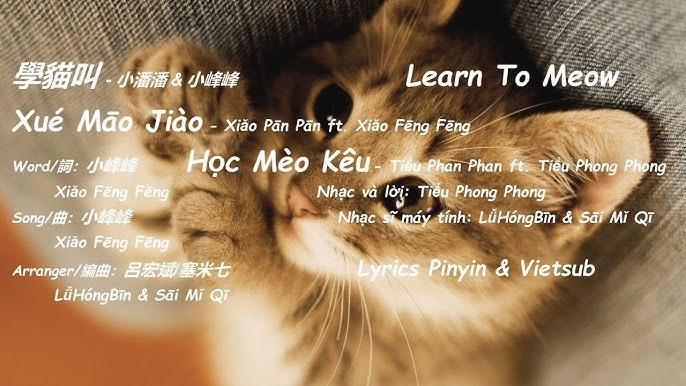 Học Tiếng Mèo (学猫叫 )
