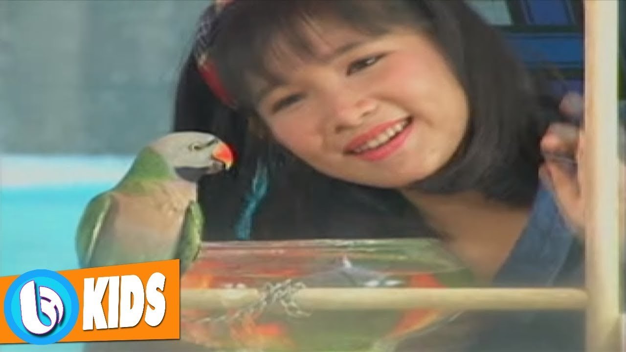 Hỏi Chim Hỏi Cá