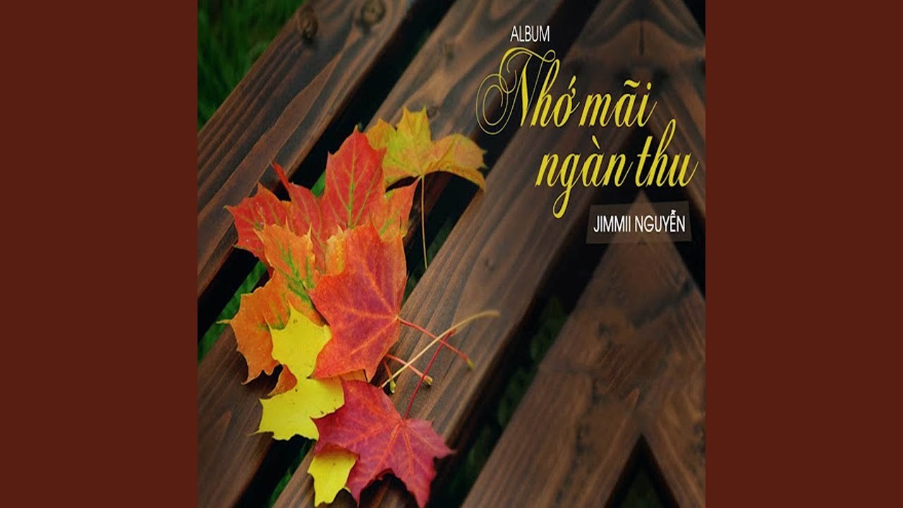 Hỏi Đá Có Buồn Không
