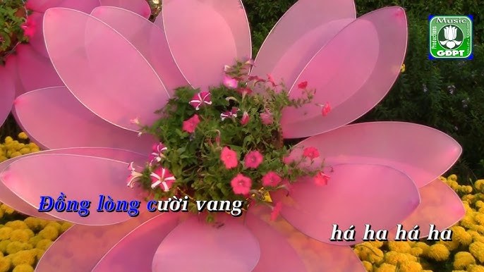Hôm Nay Họp Đoàn 
