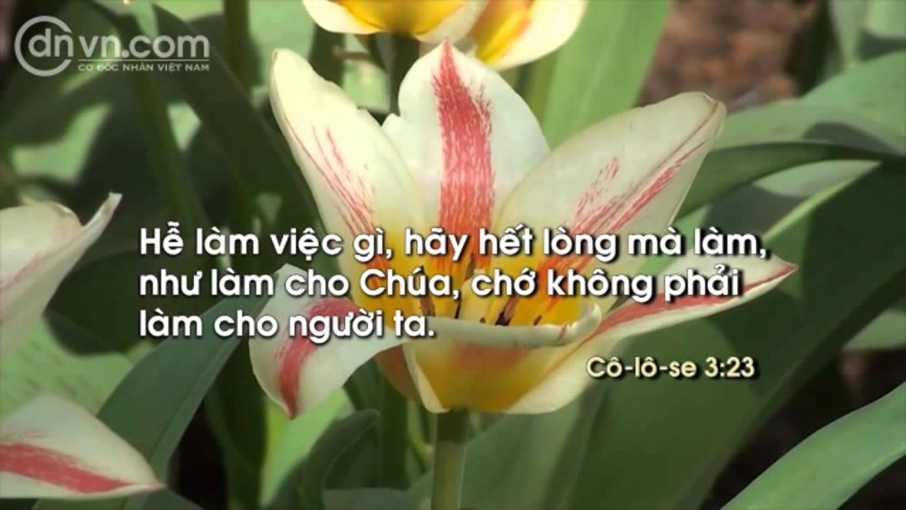 Hôn Nhân Đầu Tiên